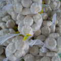 China 500g small packed fresh white garlic for sale New Caledonia